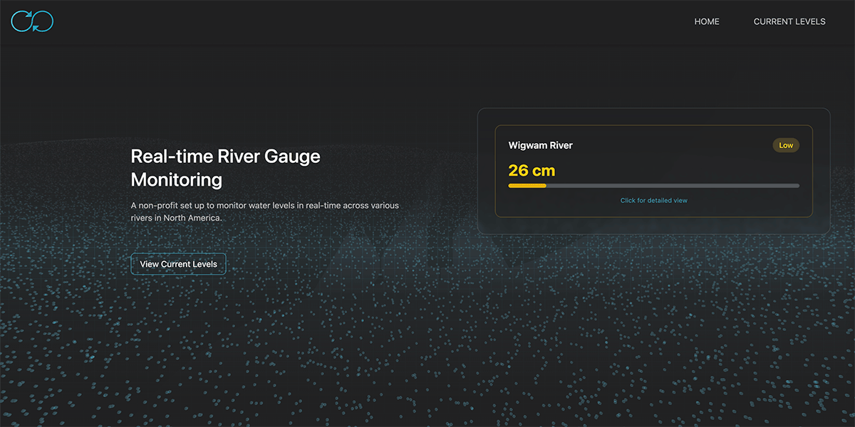 Digital Flow Gauge — Current Levels